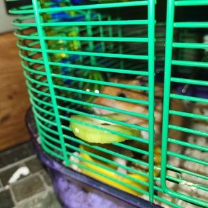 Meet your Posher, Erika